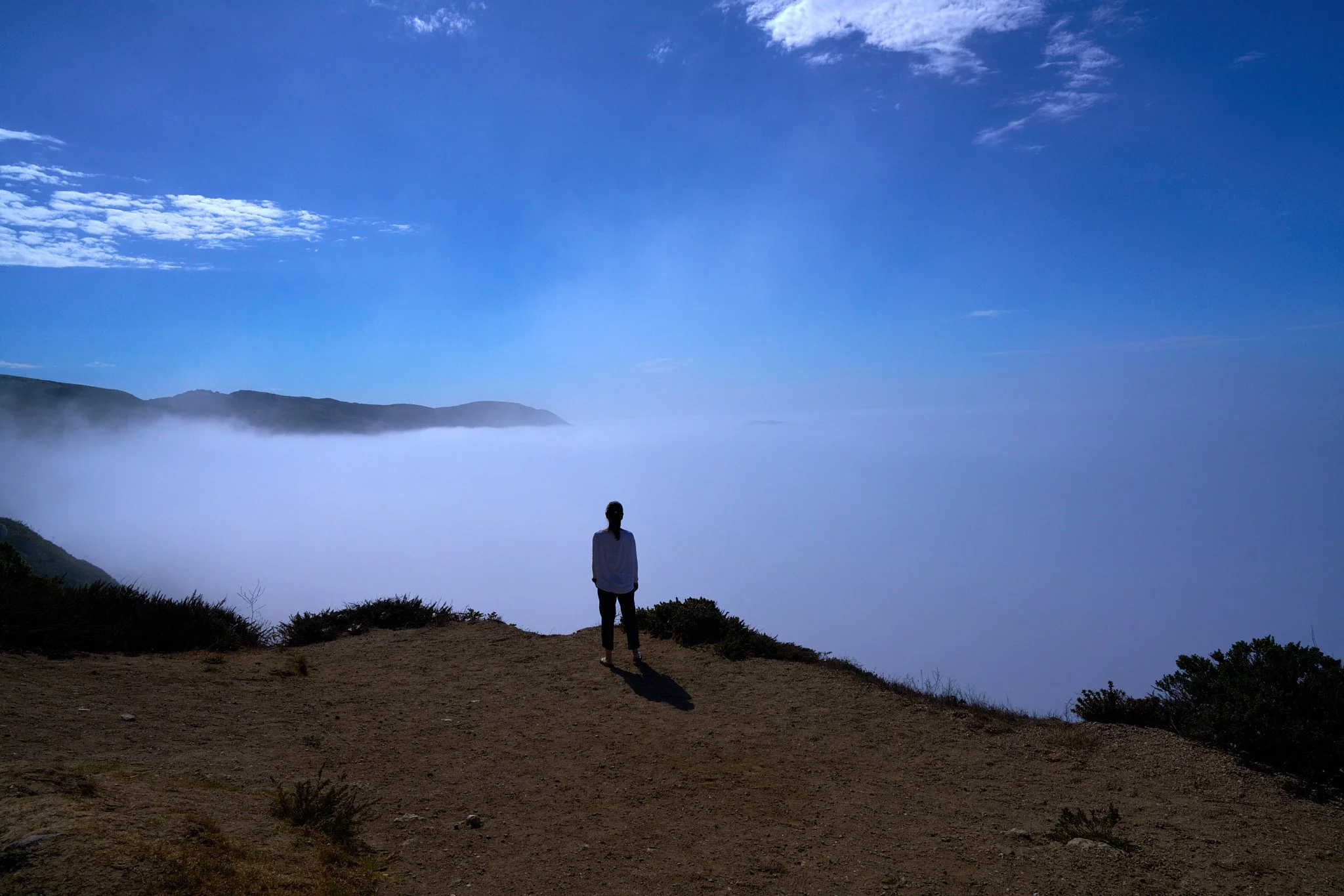 Ron Chau-Oct 05 2024-09.jpg