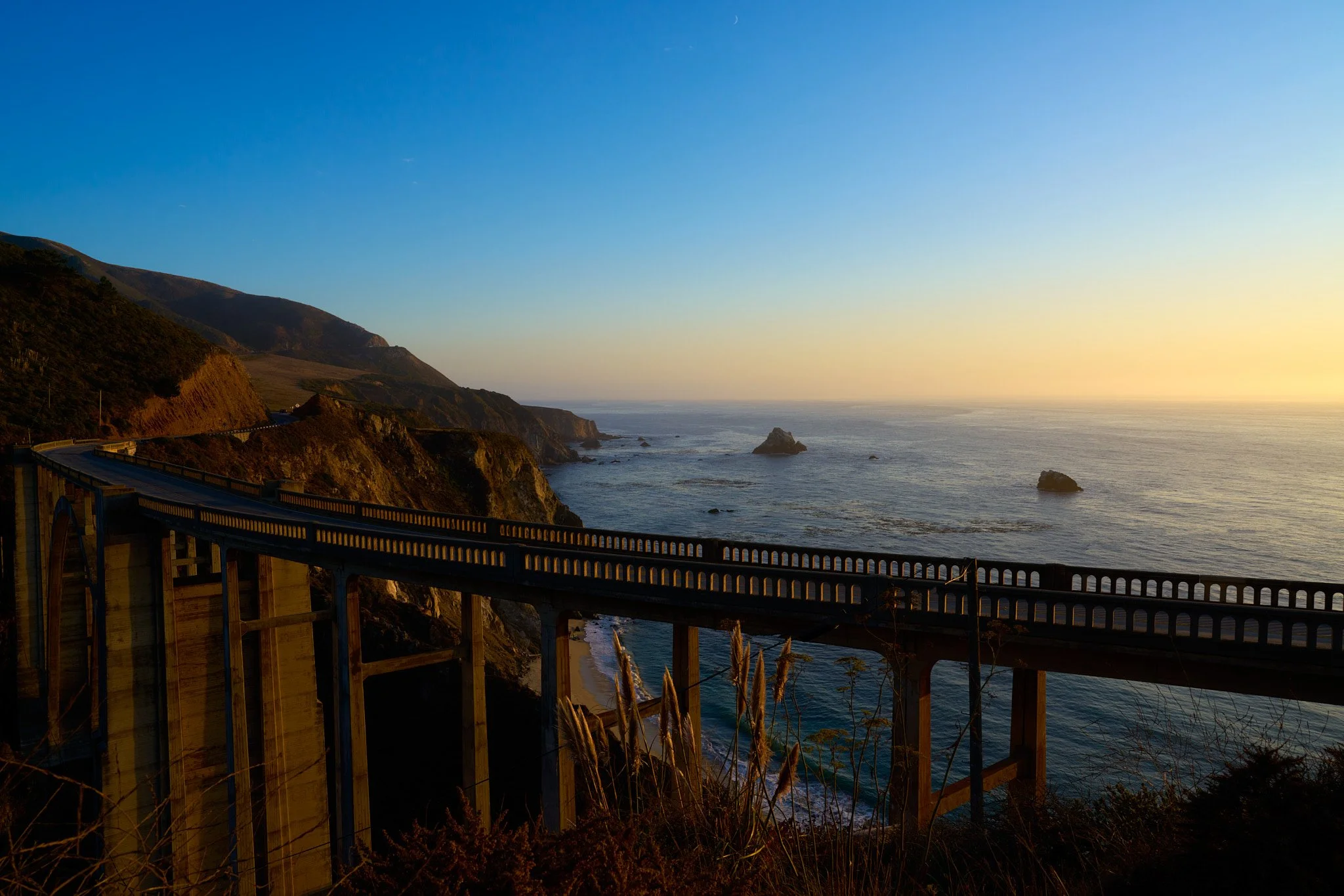 Ron Chau-Oct 07 2024-19.jpg