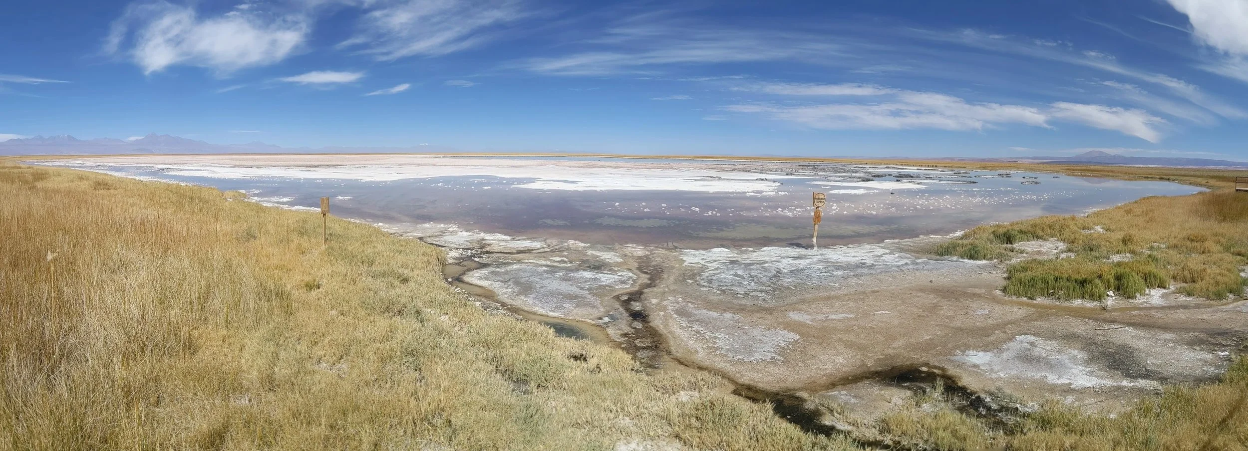 PANO_20190505_115701.vr.jpg