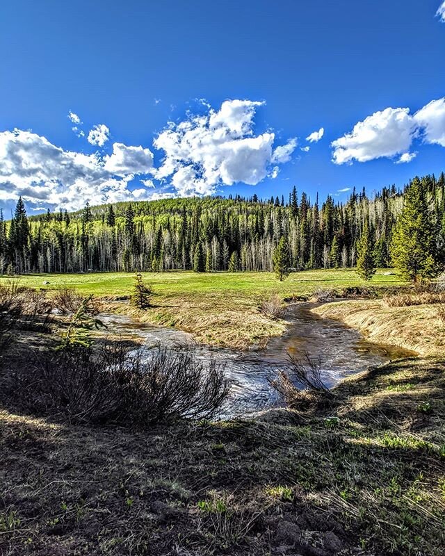 [New Article @ www.JakeKunken.com] (link in bio) Some pictures from a recent scouting trip to Routt National Forest.  I can't begin to explain how much I love and appreciate our wild spaces.  #RogueWoodsmanAdventures