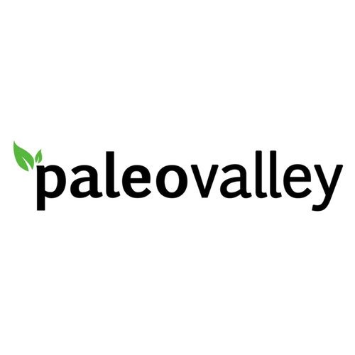 Paleovalley Logo.png