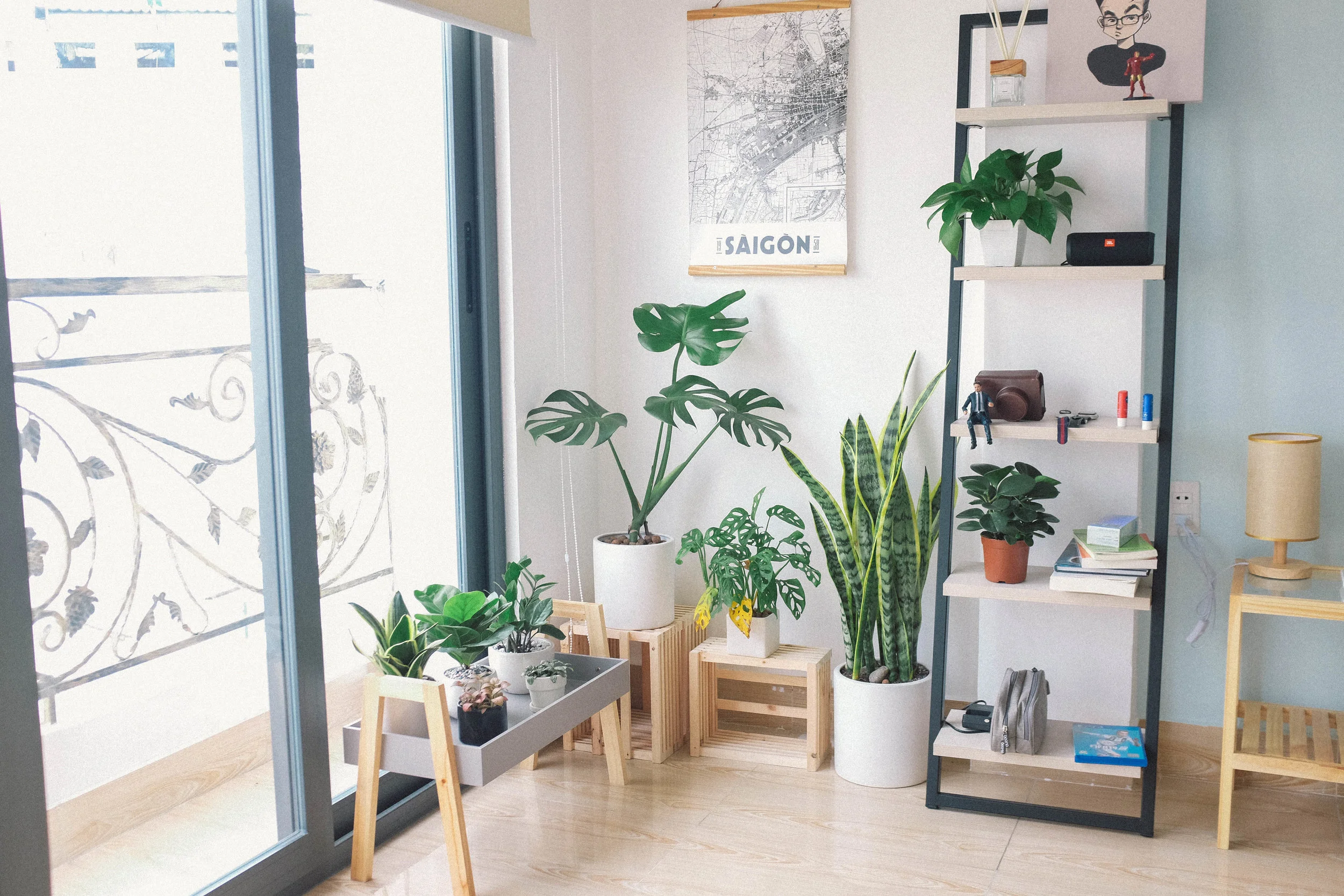 The Value Of Having Houseplants In Your Home Decoration