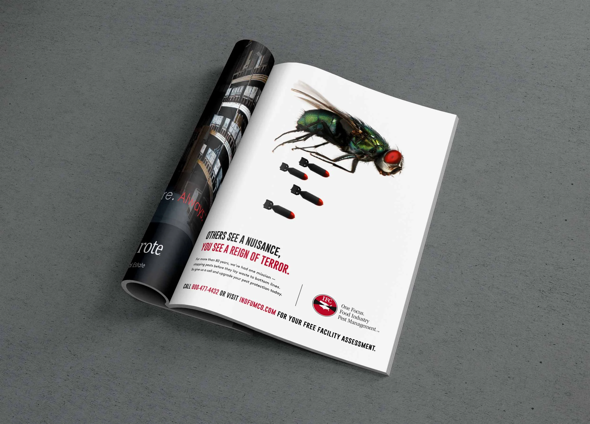 alternative_MAGAZINE-PSD-MOCKUP_fly.jpg