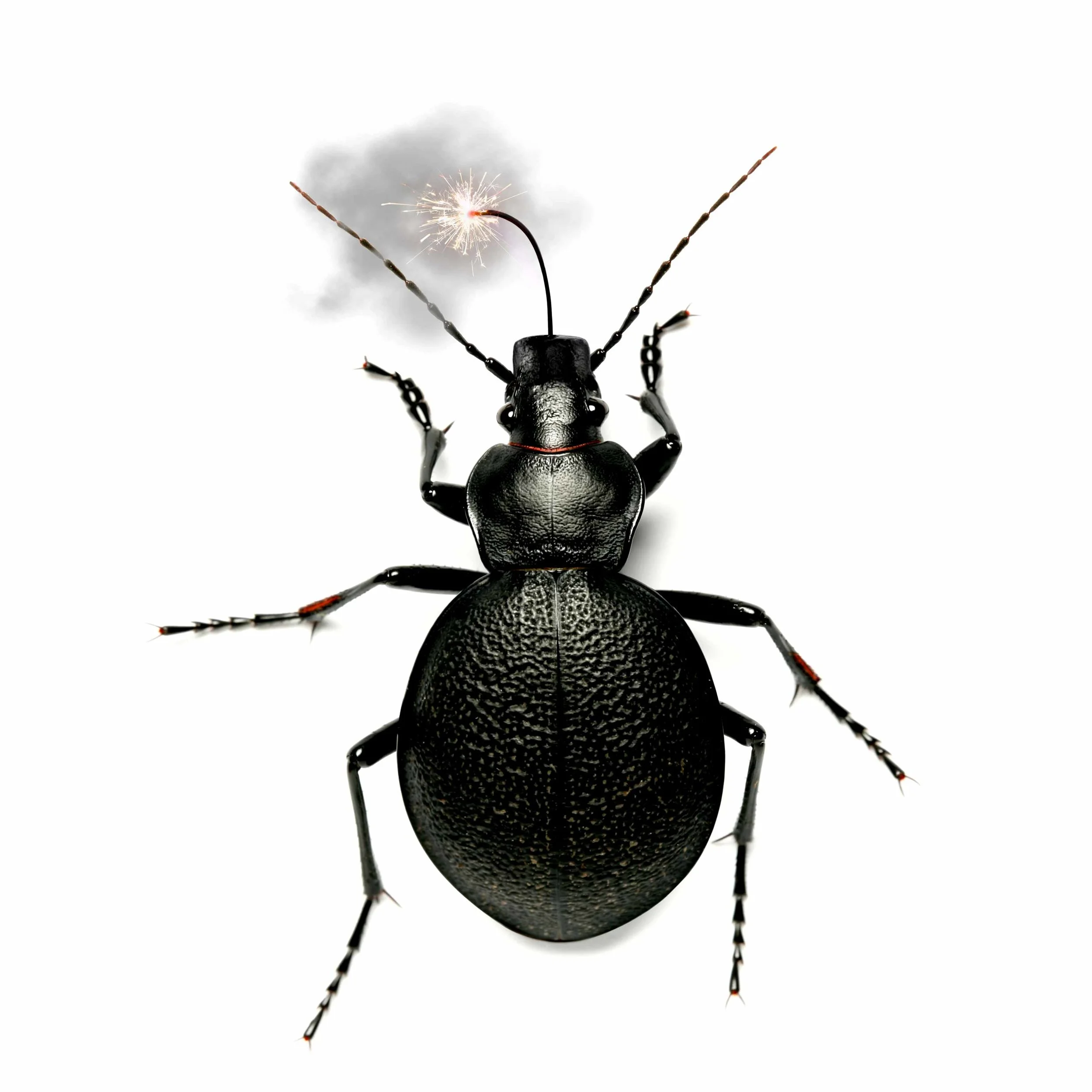Trade ads for a pest control provider that services the food processing industry. Challenge accepted.