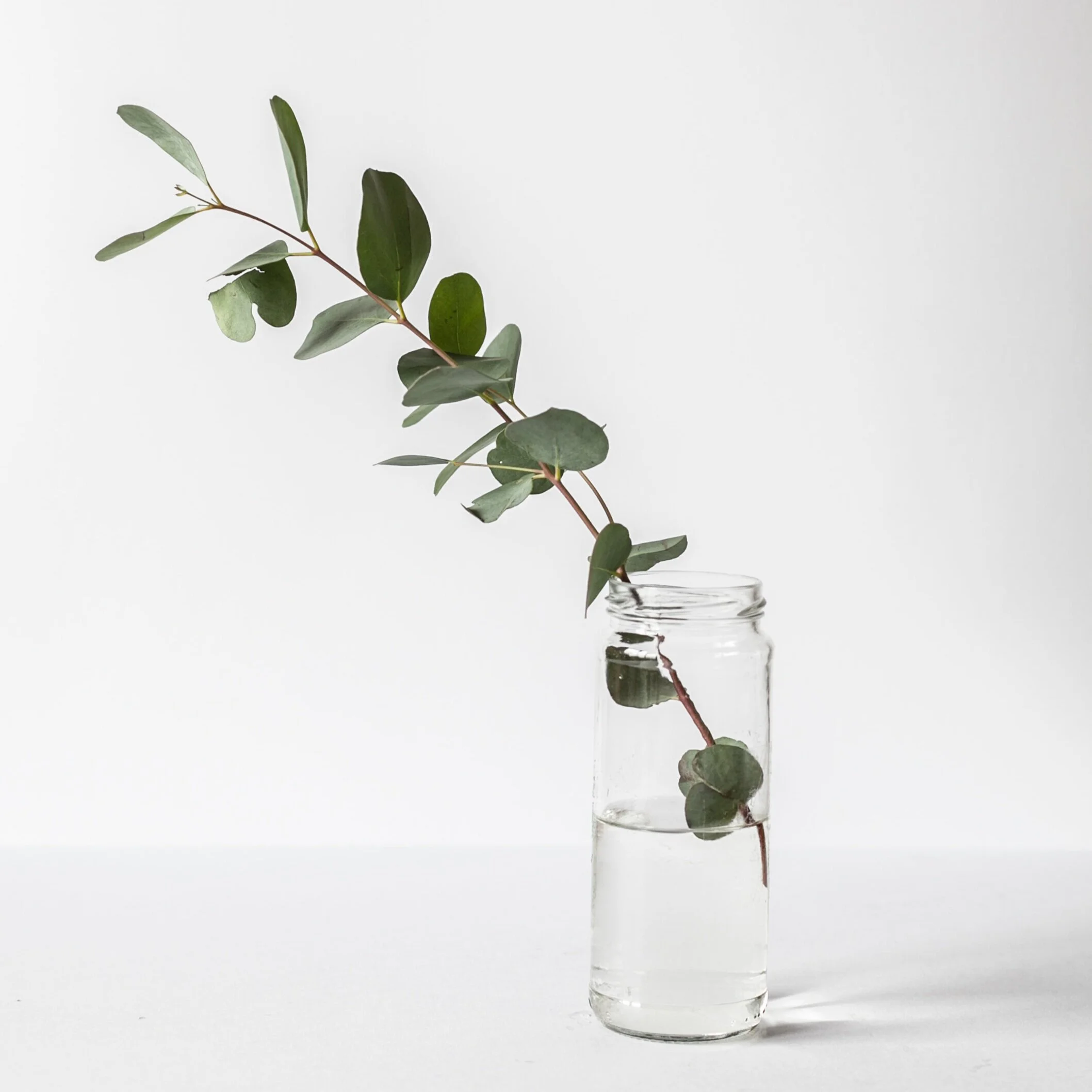 Thursday Thoughts, May 28