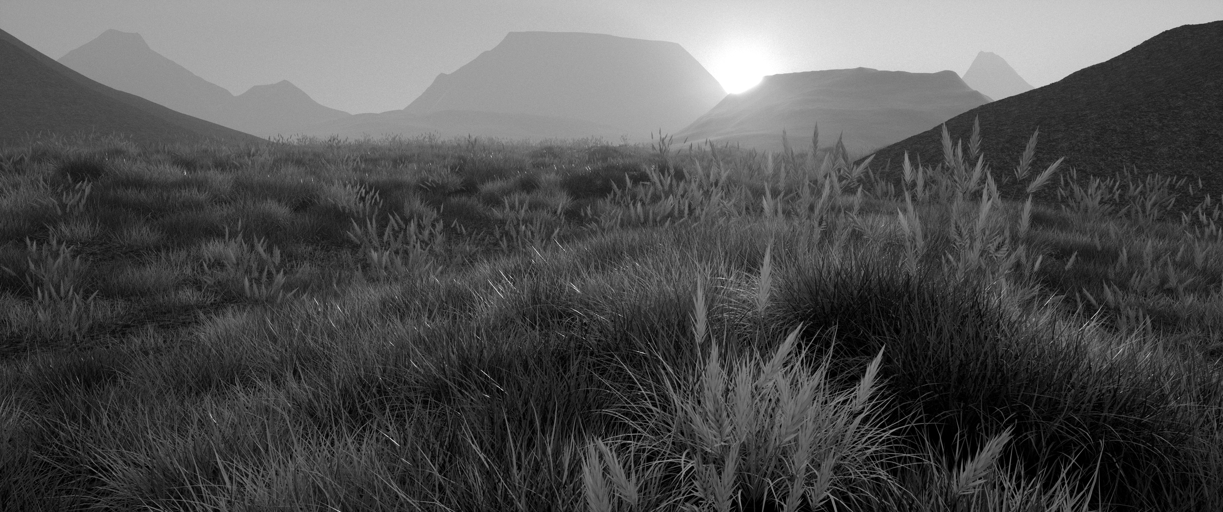 FoggyLandscape1.png