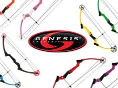 Genesis bows.jpg