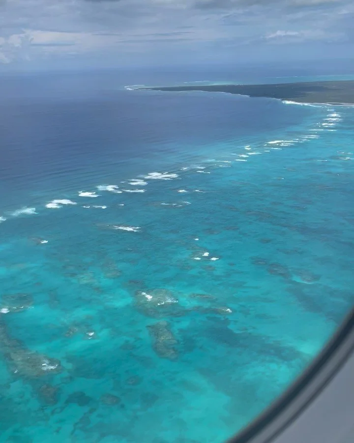 Turks and Caicos vaca vibes ✈️🏖️💖🌊🌴🦎🐠👍