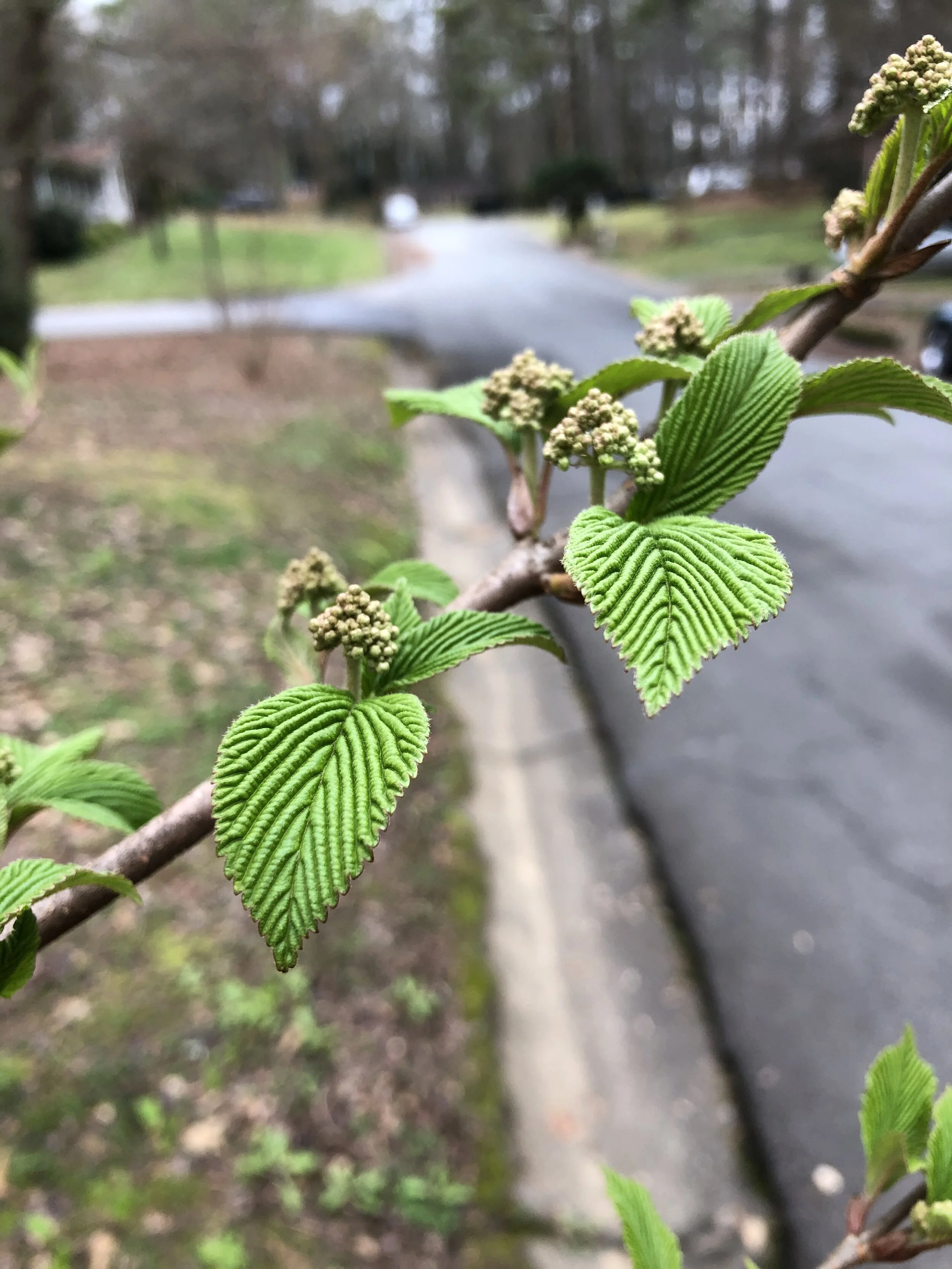 It's the Coming Back that Counts