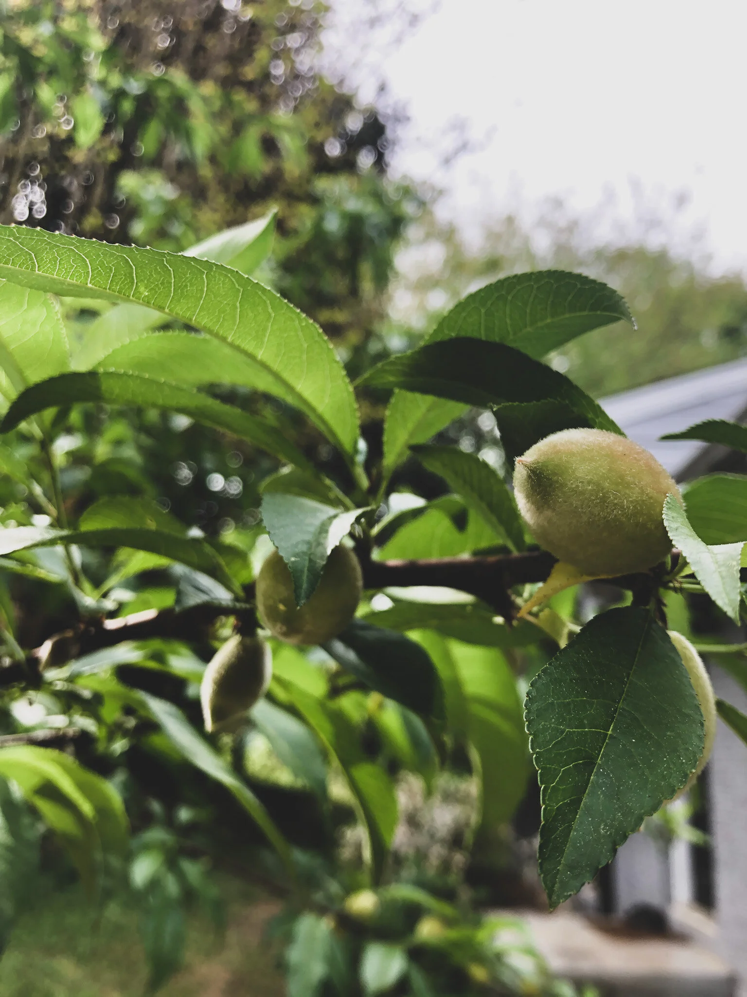 14 on Friday: Right Now 