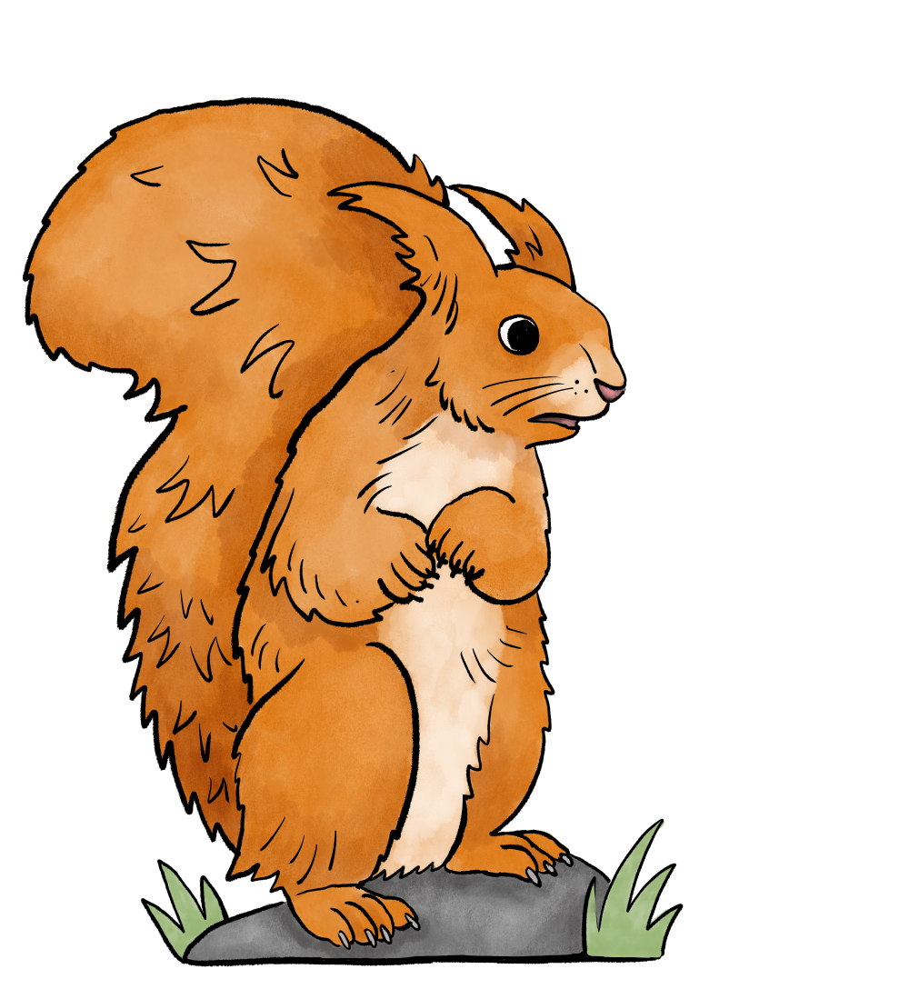 Landmark Adventure Park — Aimee Lockwood