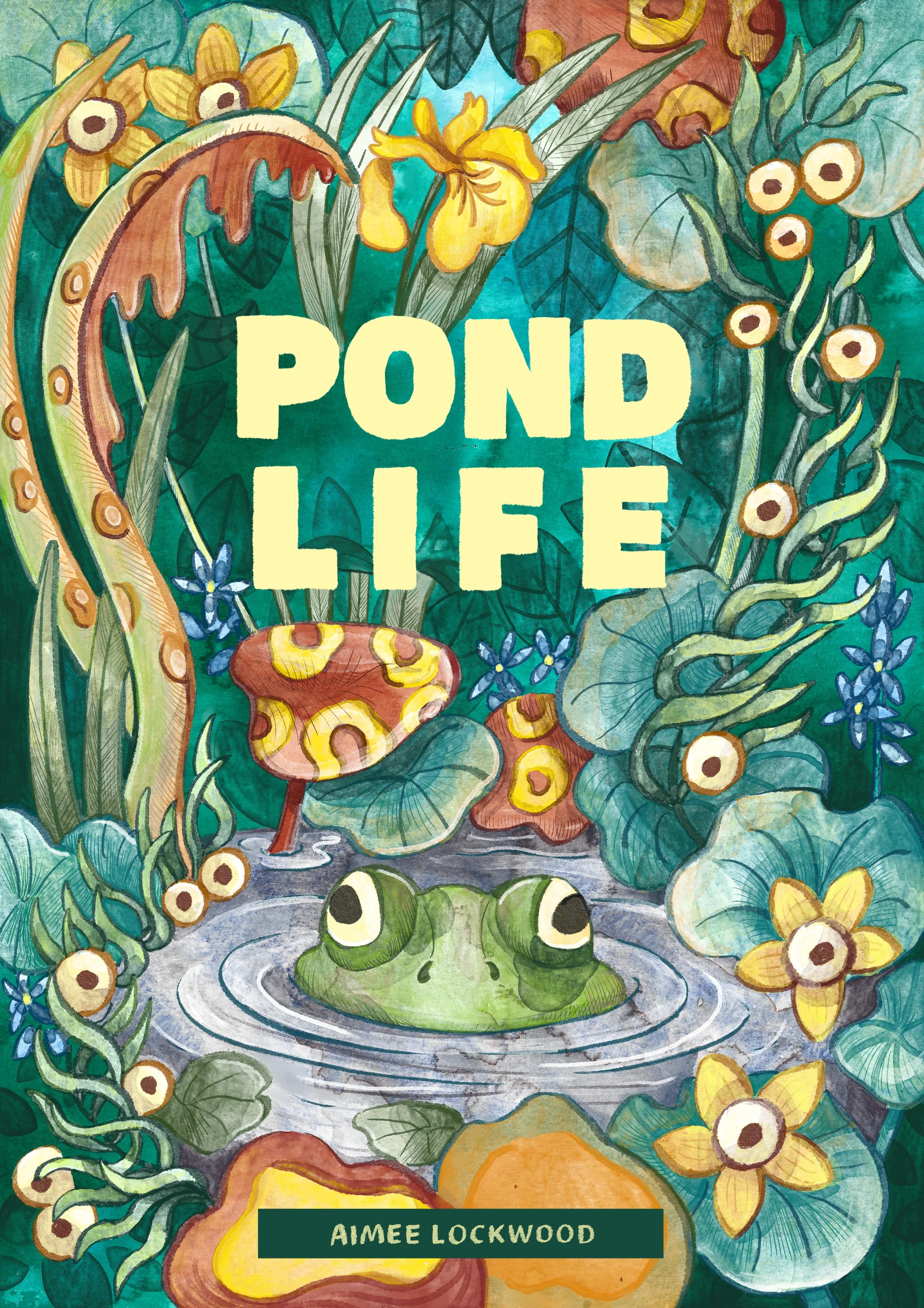 pondfrontcover.jpg