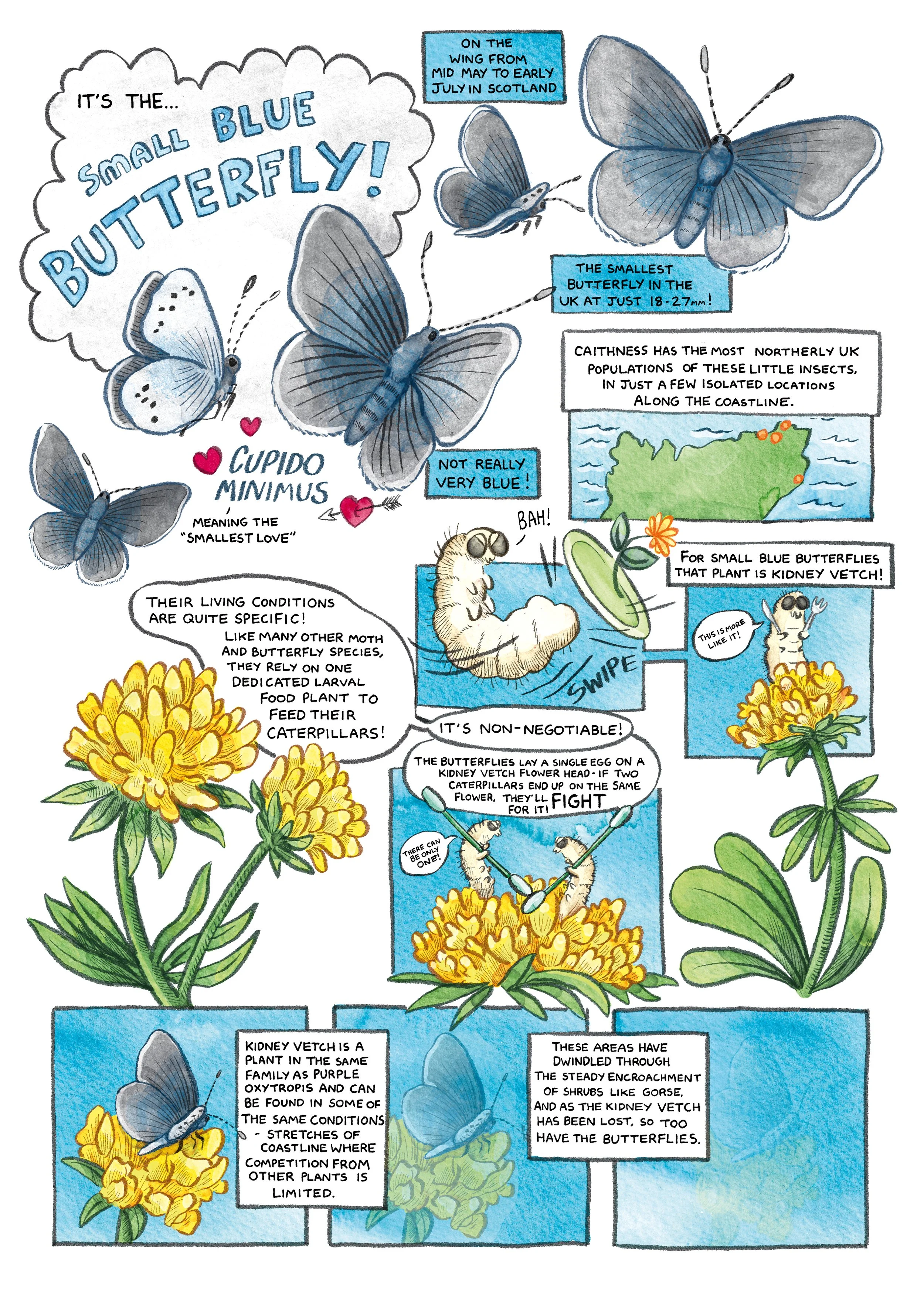 sote_colour_smallblue2.jpg