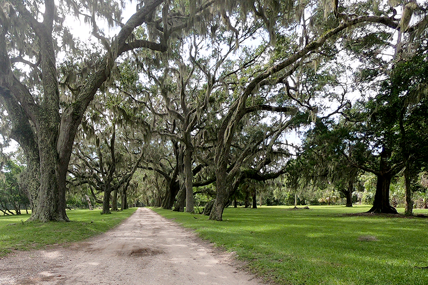 cumberland-island-np_saint-marys-ga-002s.jpg