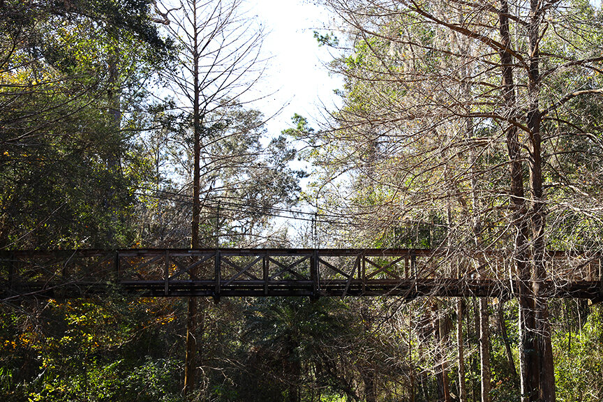 ravine-gardens-state-park-florida-suspension-bridge_003.jpg