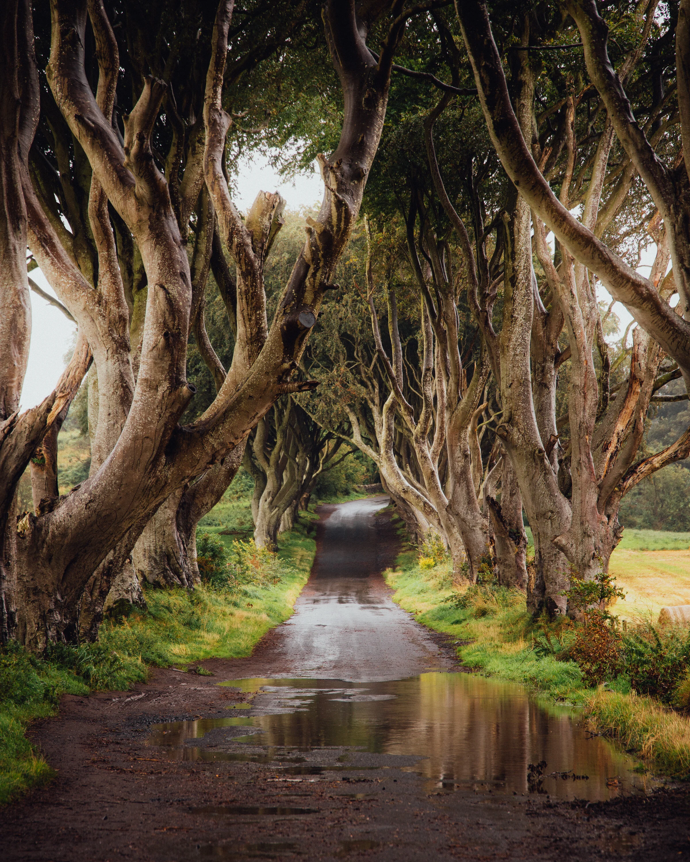 North Ireland-12.jpg