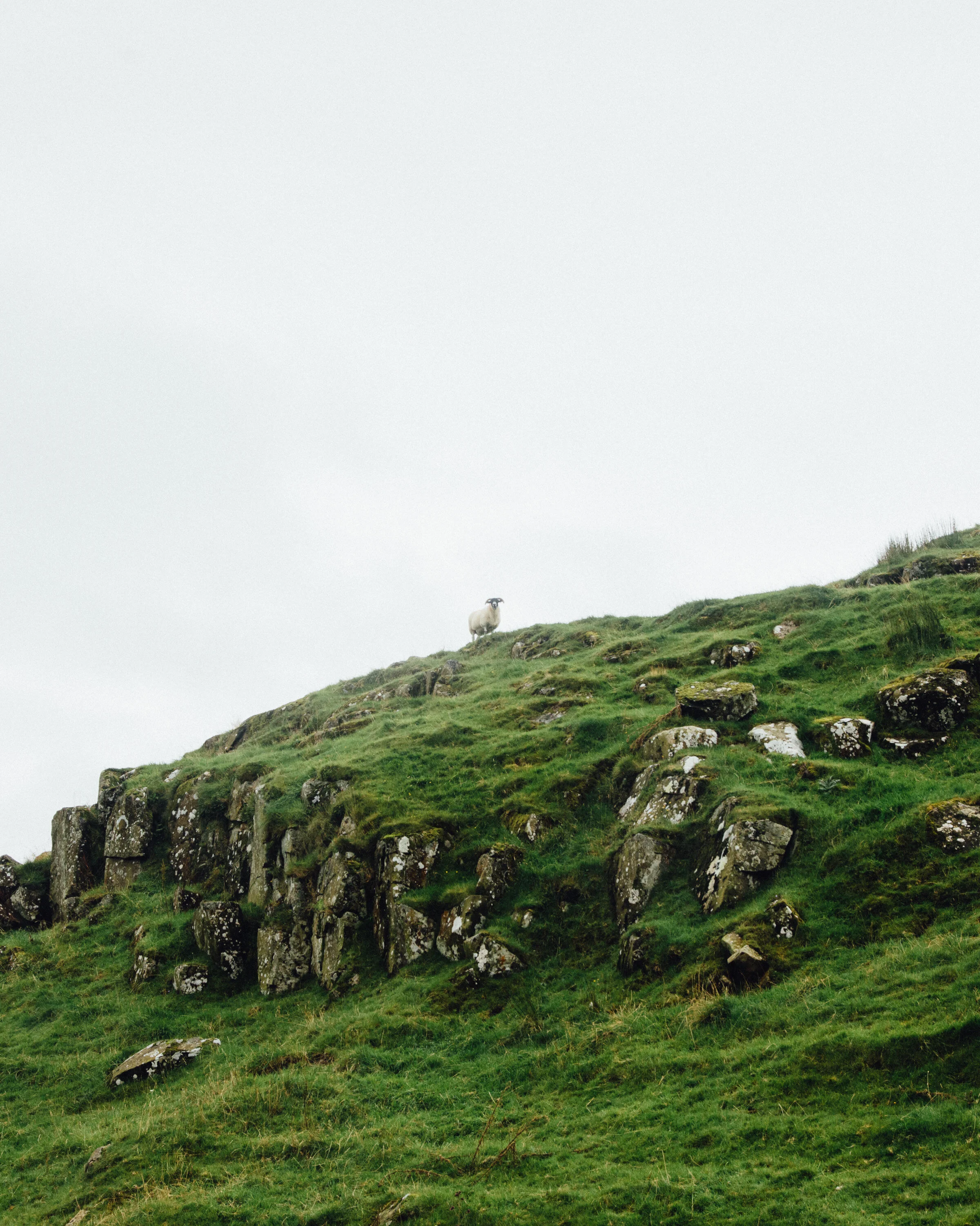 North Ireland-36.jpg