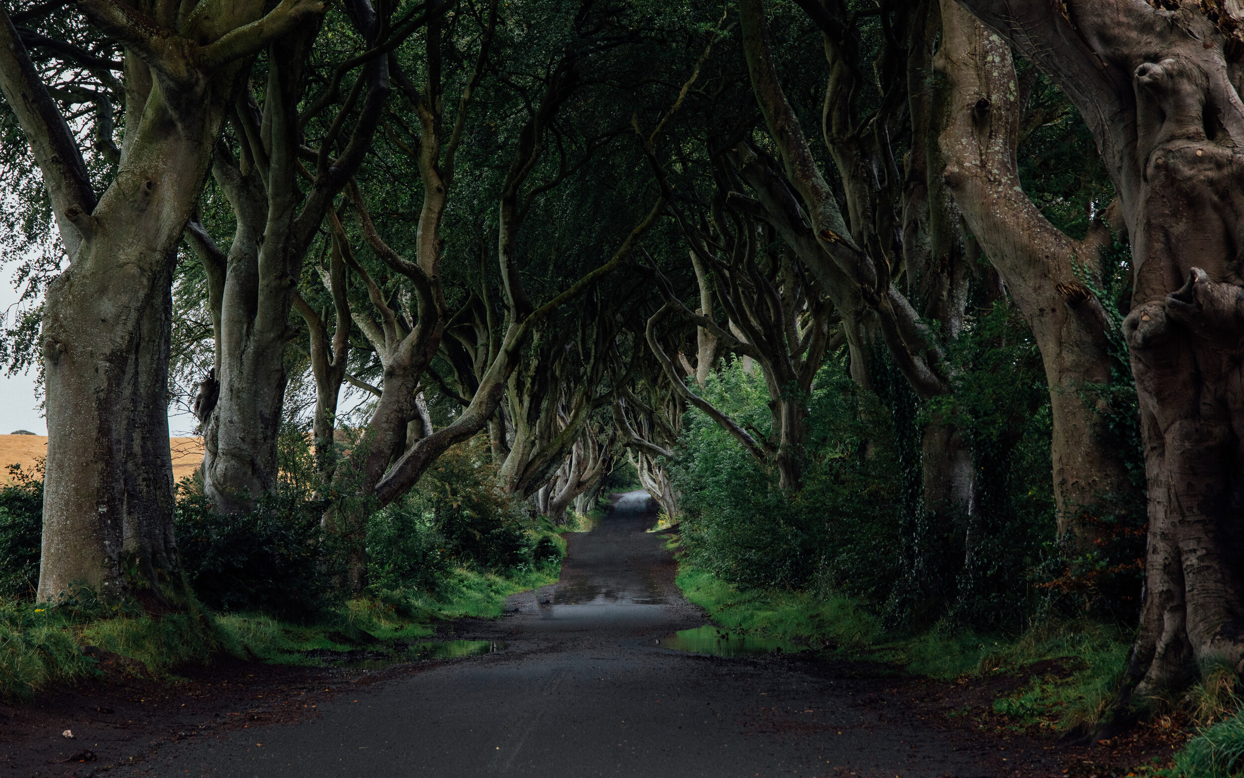 North Ireland-18.jpg