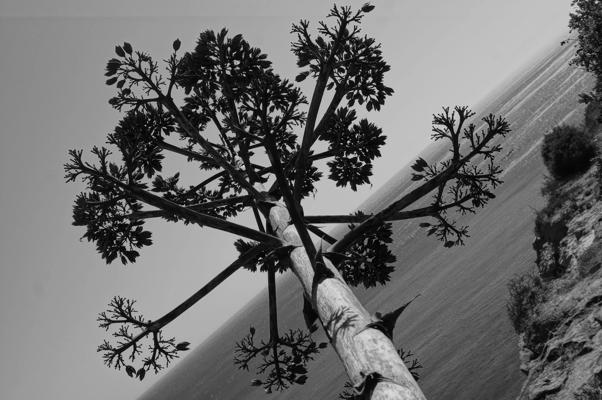  Burgau, Portugal 2019 