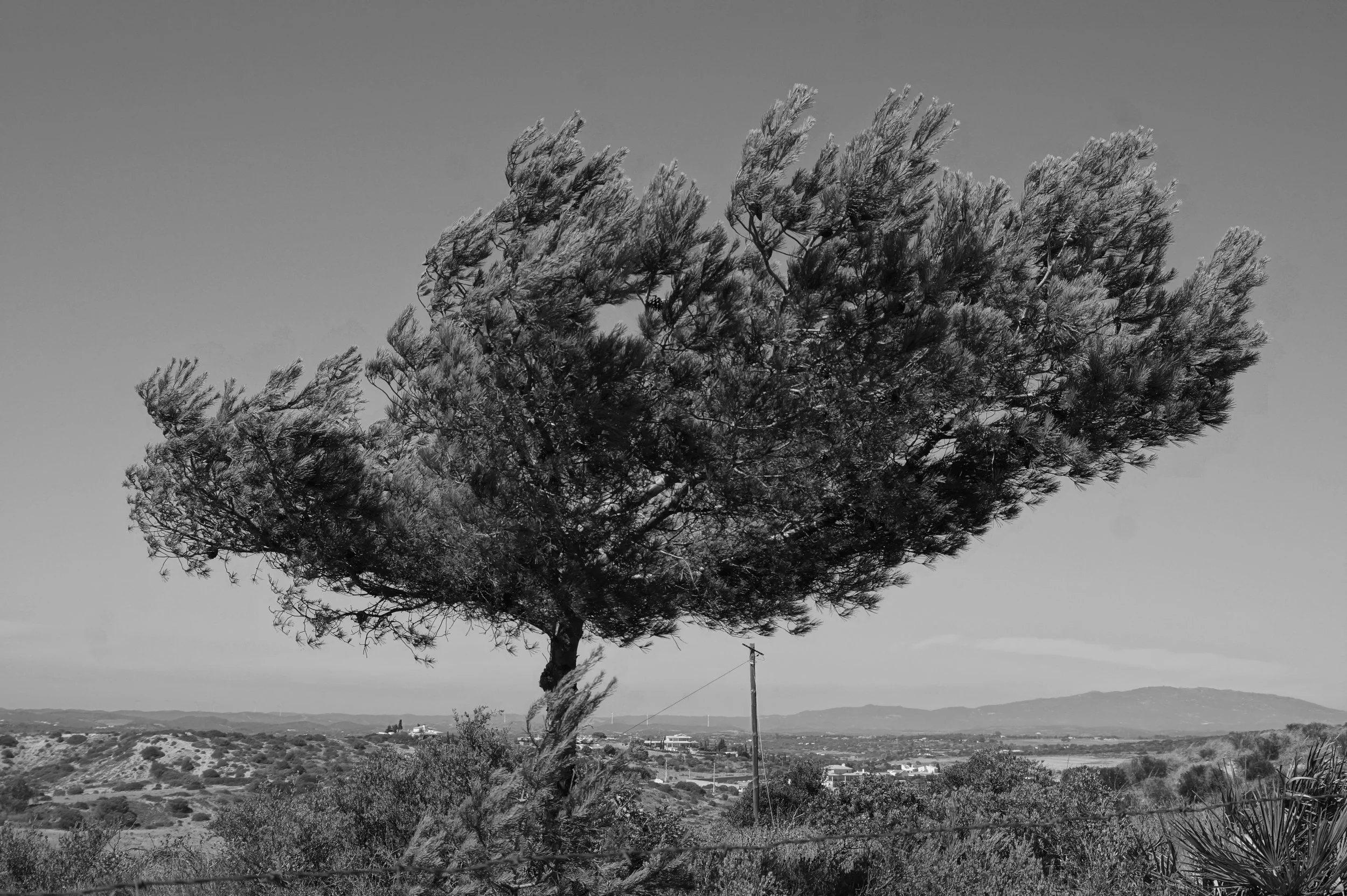  Burgau, Portugal 2019 