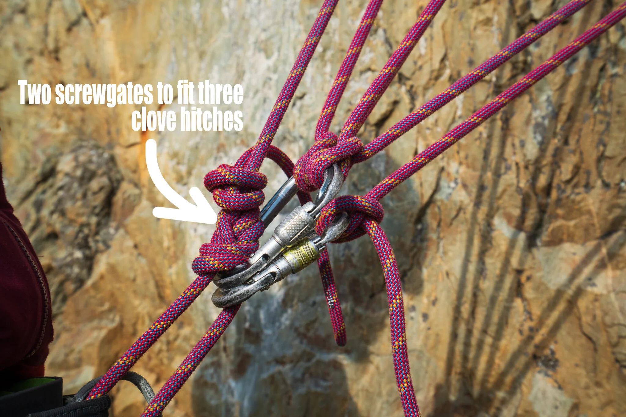 Using an additional screw gate to fit three clove hitches.