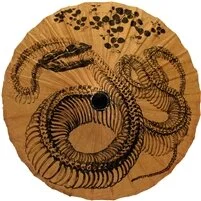 Snake Skeleton Parasol.jpg