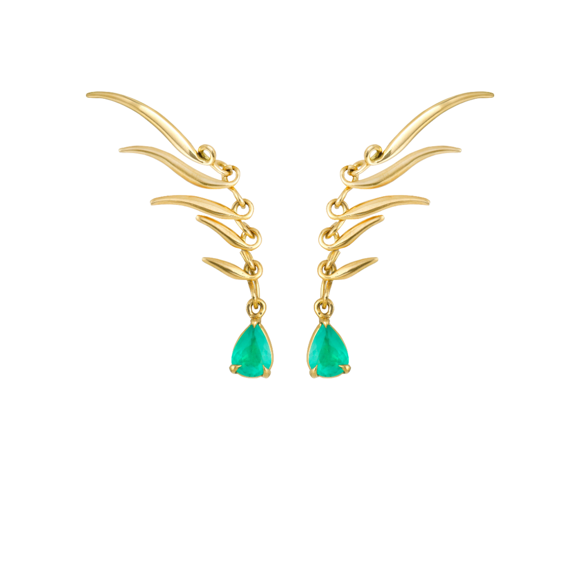 Verachi