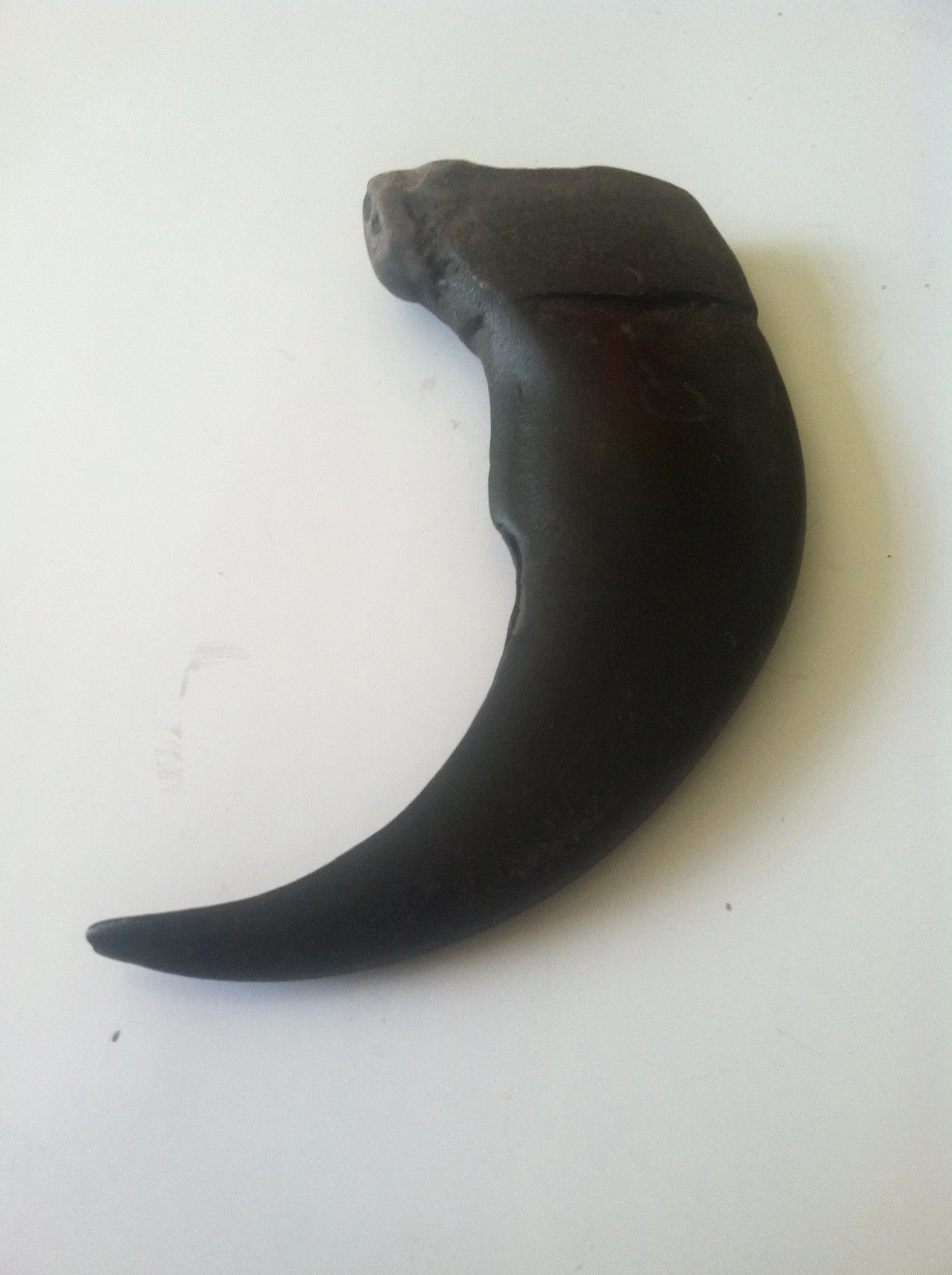 2" Bear Claw Replica