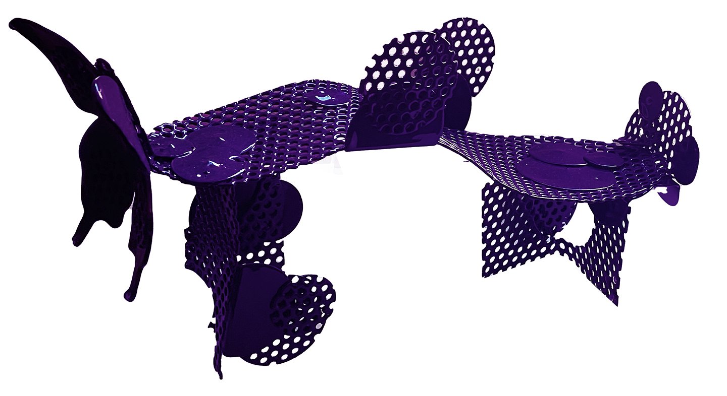Shoe Fly I