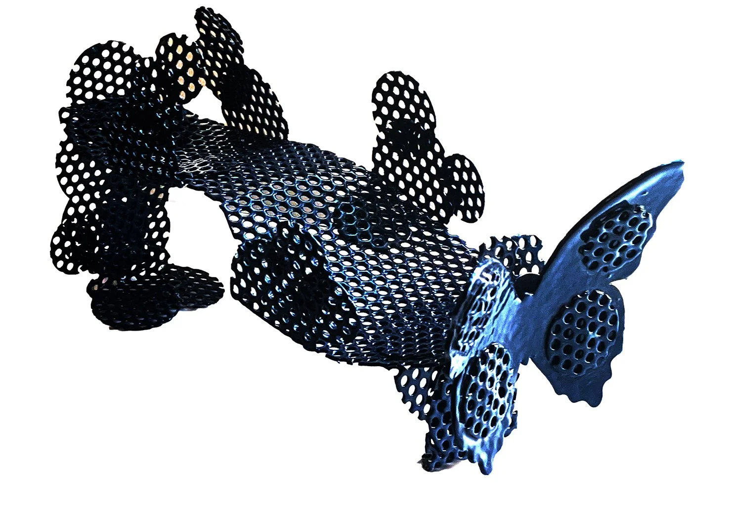 Shoe Fly II