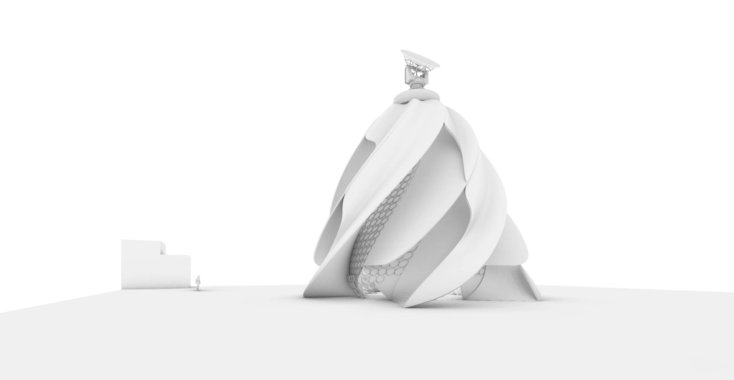 Perspective Random.JPG