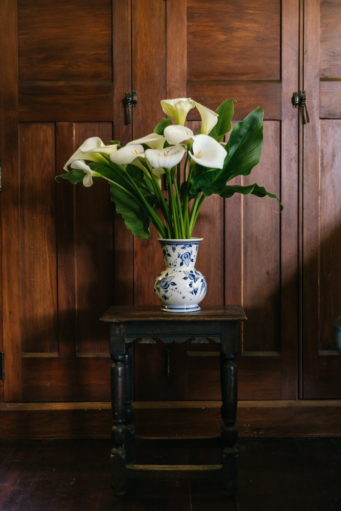 fresh flowers in vase