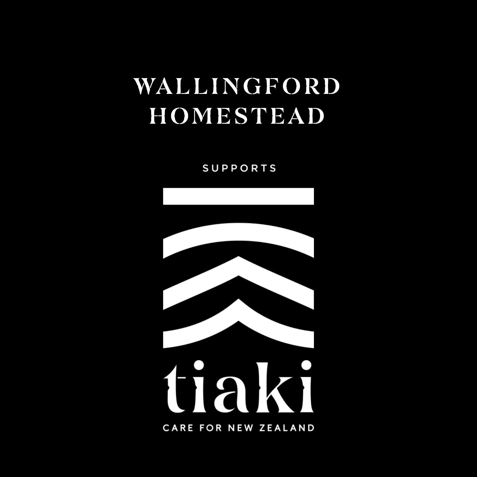 The Wallingford Experiences — WALLINGFORD