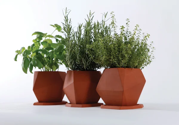 3_Herb_set-of-three_2_72-dpi_NICK-FRASER.jpg