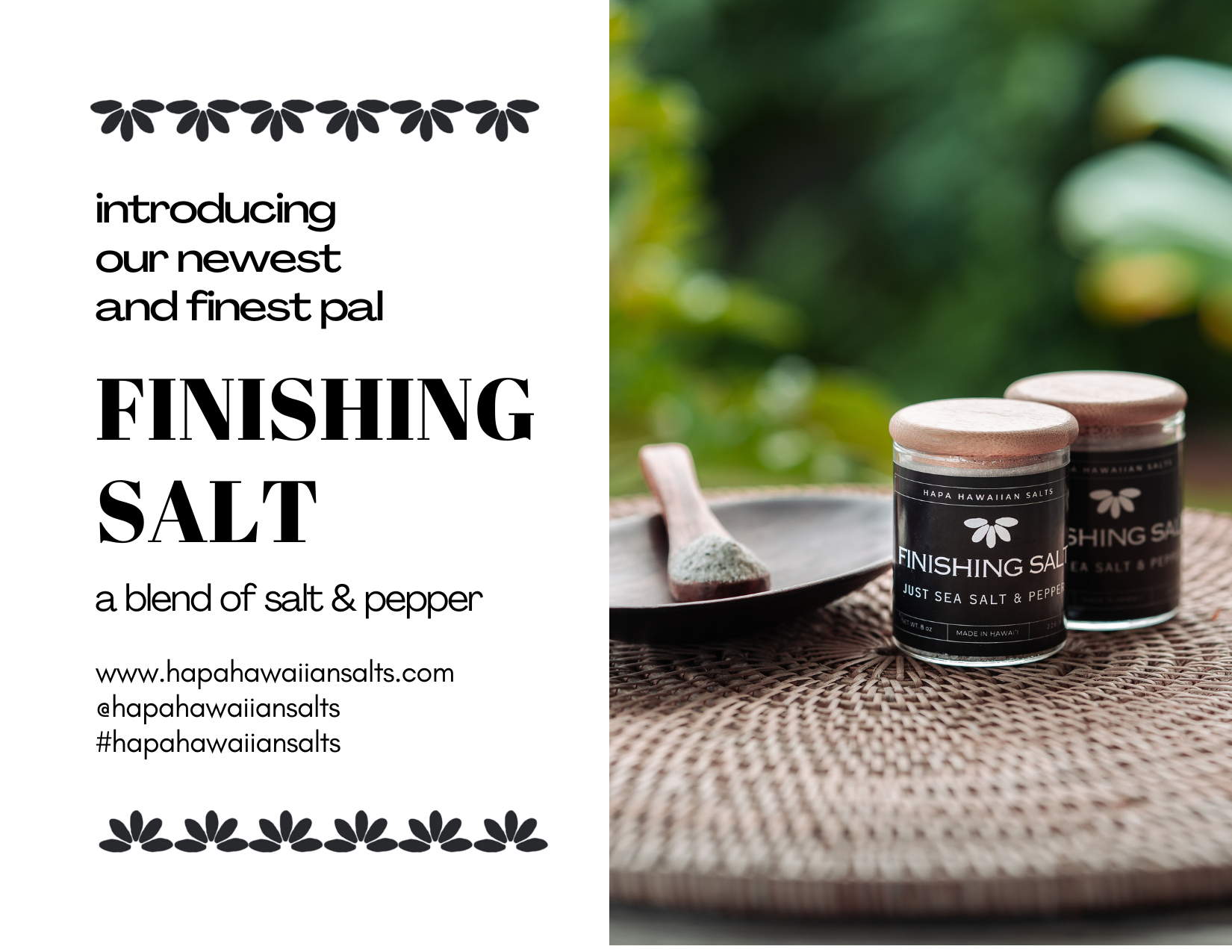 Finishing Salt Front.png