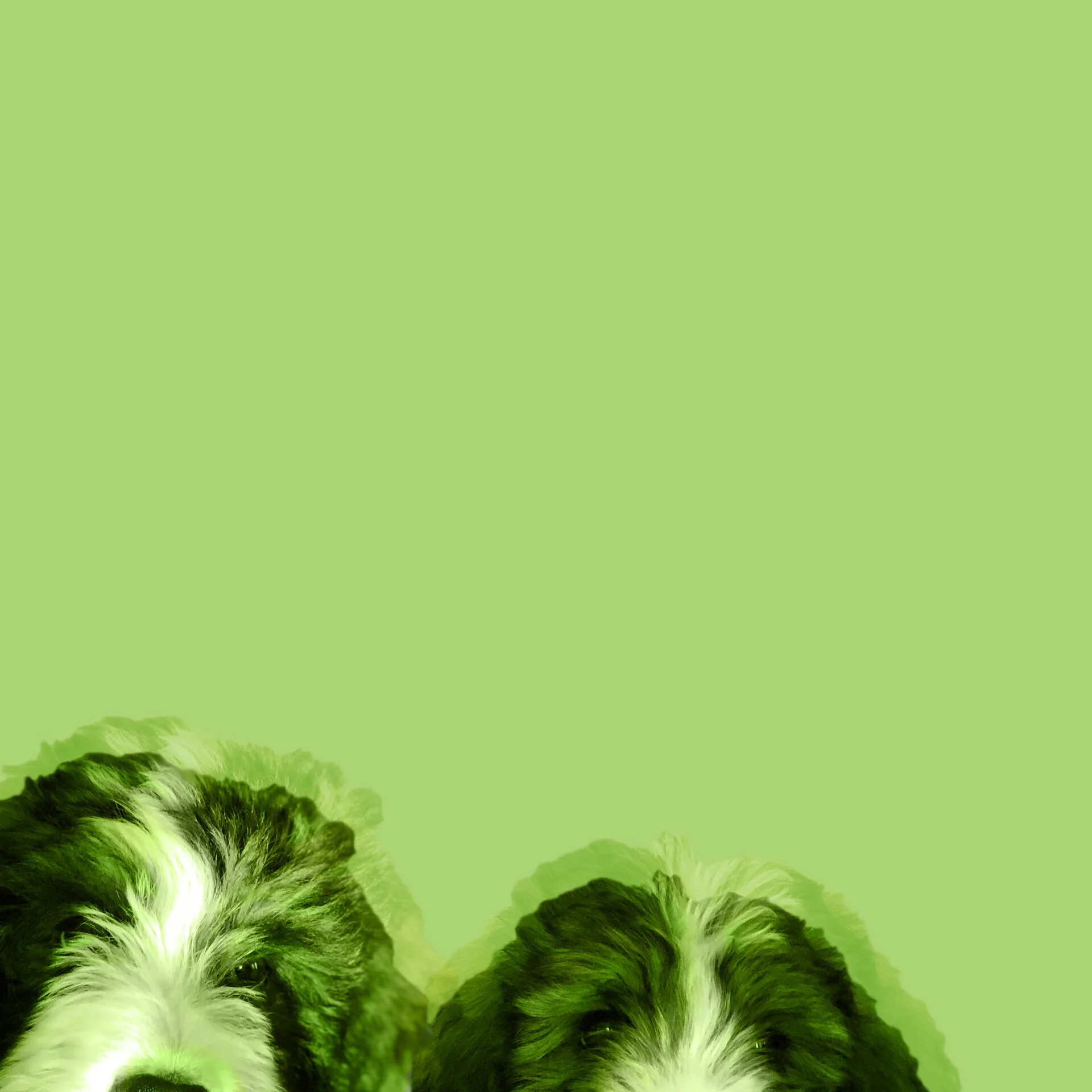 AAGreen.jpg
