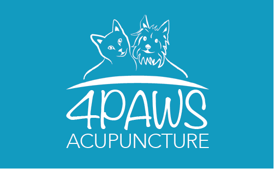 4 Paws Acupuncture Tauranga 
