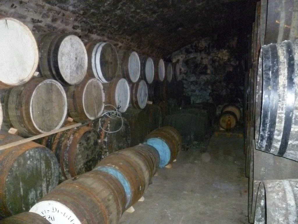 Cellars.jpg