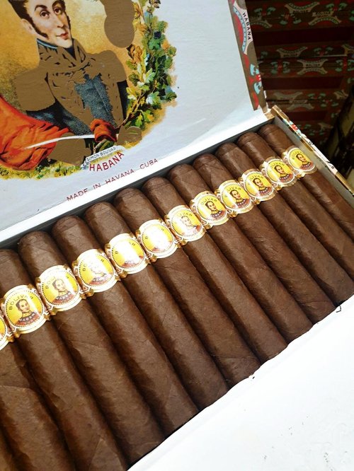 Bolivar Royal Corona