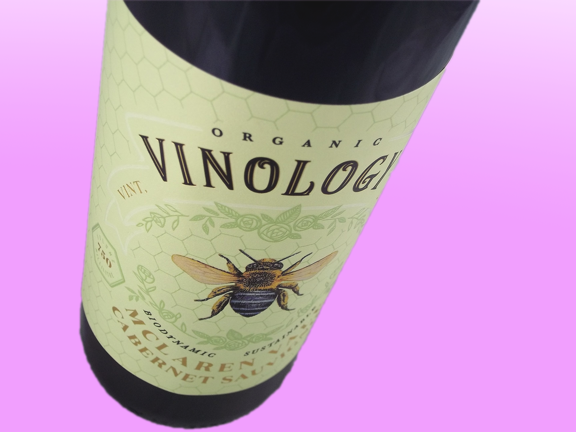 TOPDOWN.png
