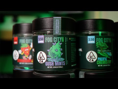 DAN-GANJA x Fog City Farms: Gush Mints review
