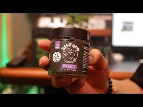 DAN-GANJA x Fog City Farms: Pinnacle review