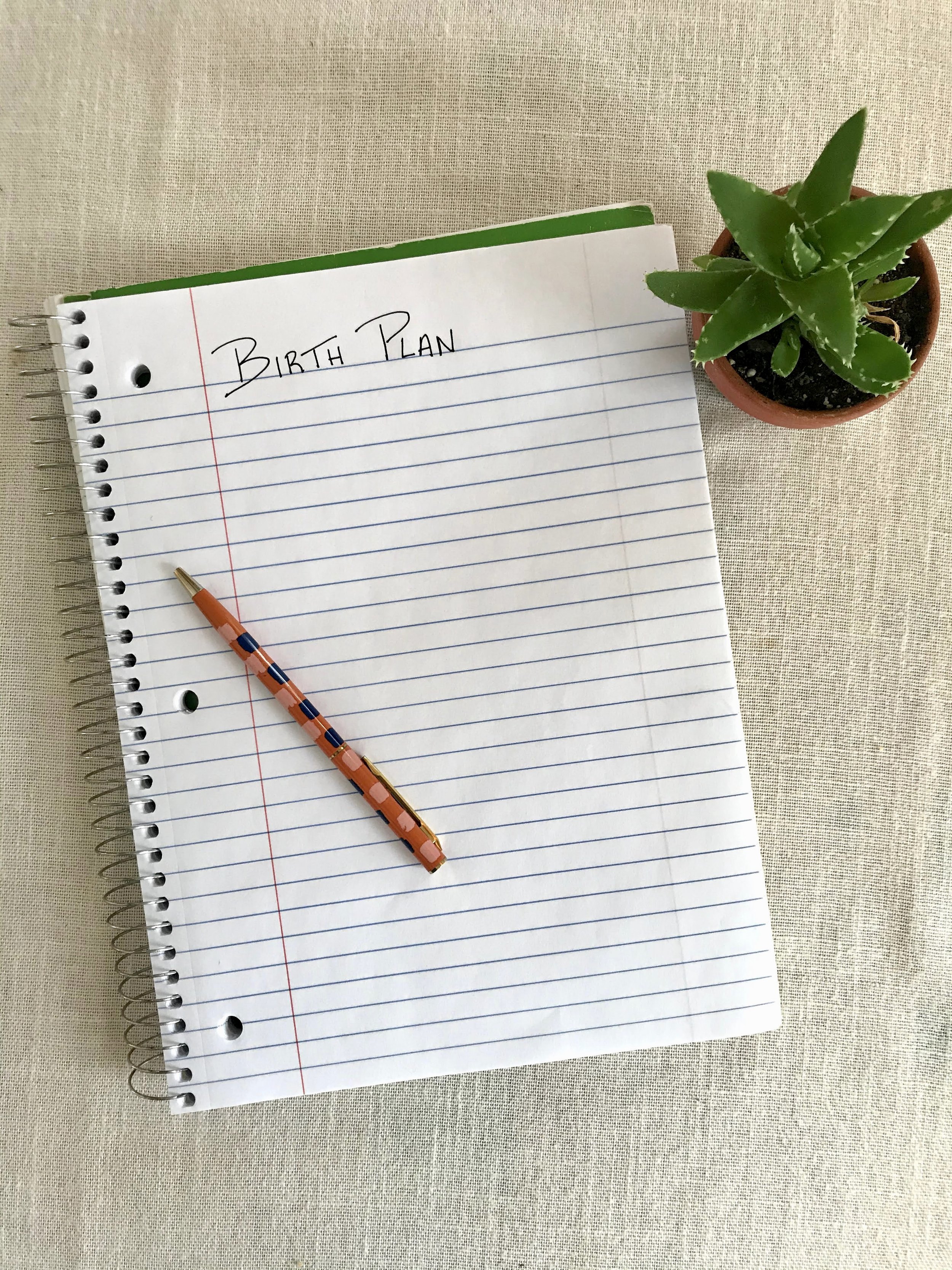 Birth Plan Template (with guide video)
