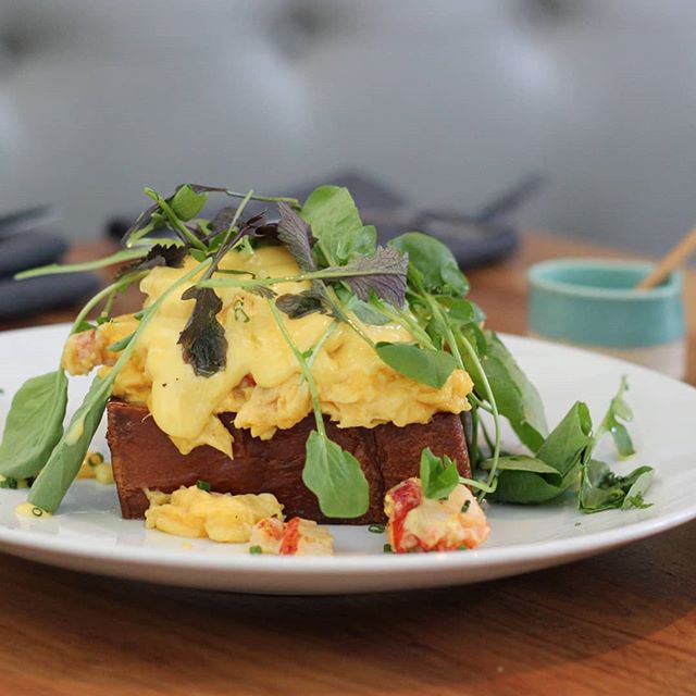 Where did you brunch over the weekend? This lobster &amp; eggs dish is from St. Cecilia (@stceciliaatl), where my friend @salut_atl and I got together for a Sunday meal. I absolutely loved how their menu is set up! It's prix-fixe and it includes an e