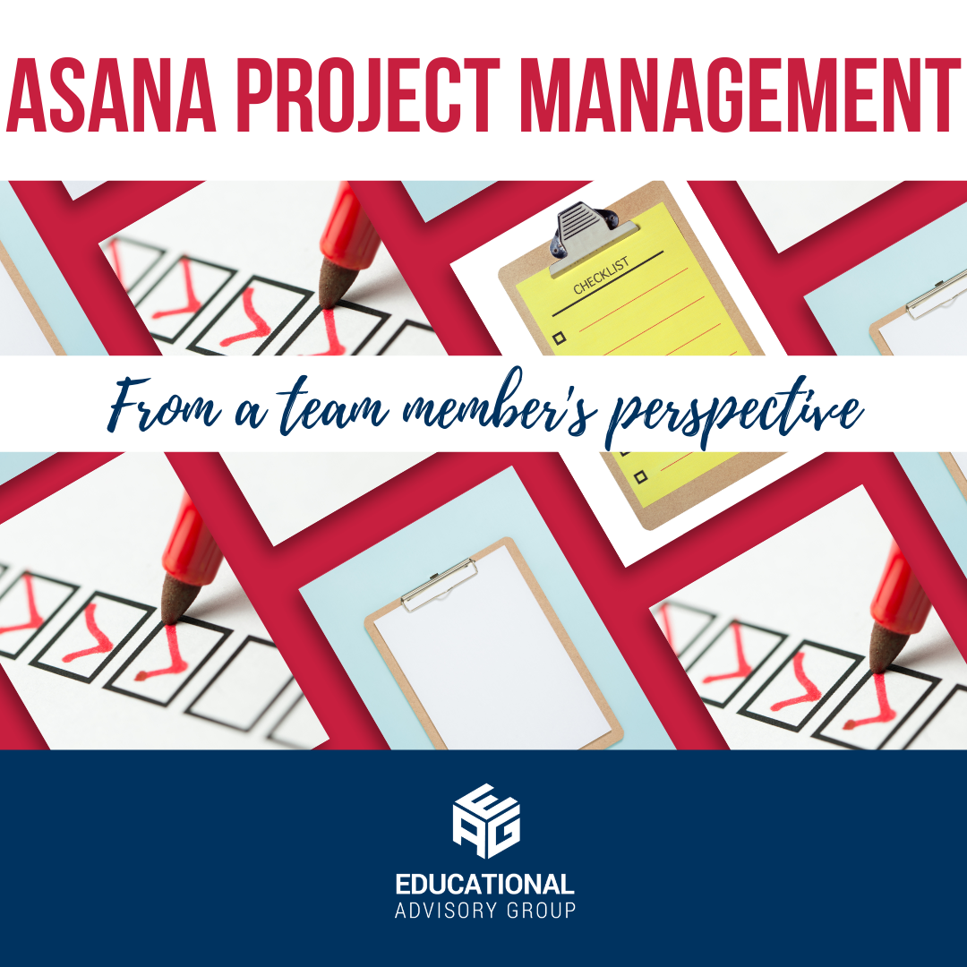 Asana Project Management [A Team Member's Perspective!]