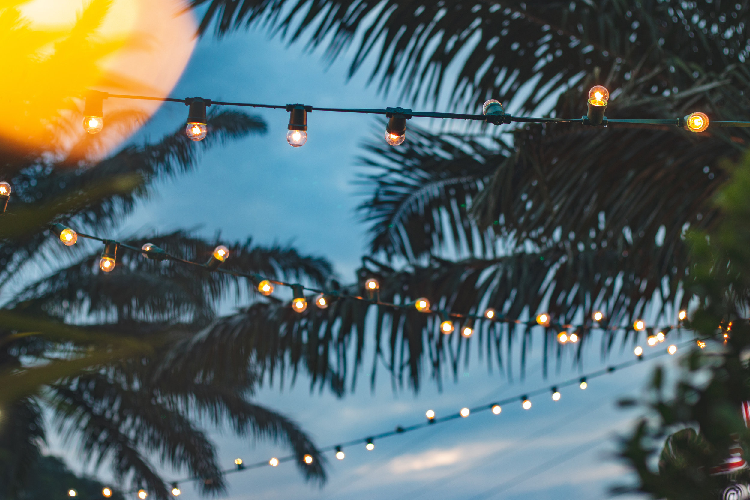 AdobeStock_216760215.jpeg