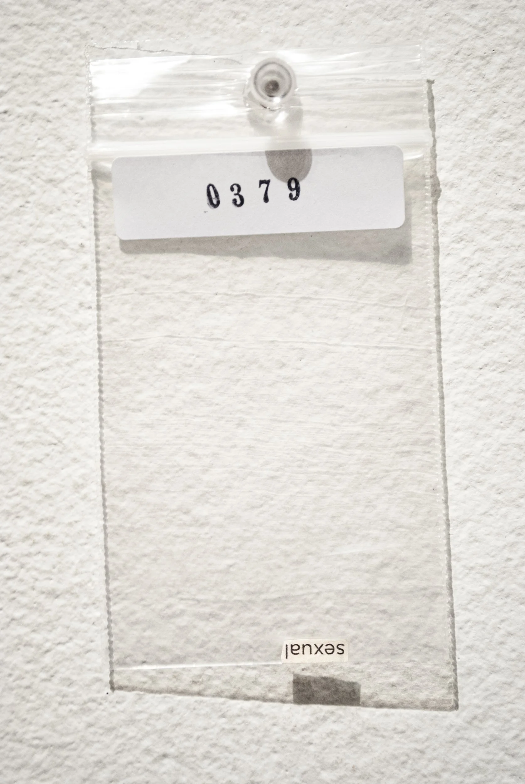 B_0379.jpg