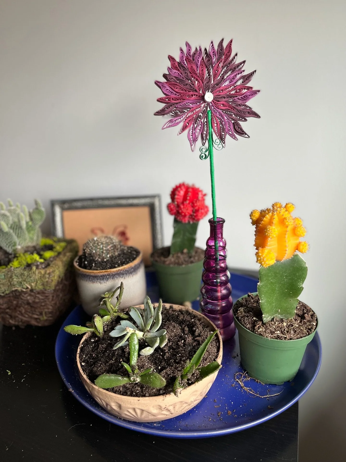 Some paper (&amp;real) flowers (&amp;cacti) for Earth Day 🌎💐

#paperquilling #quilling #paperartist #earthday #flowers