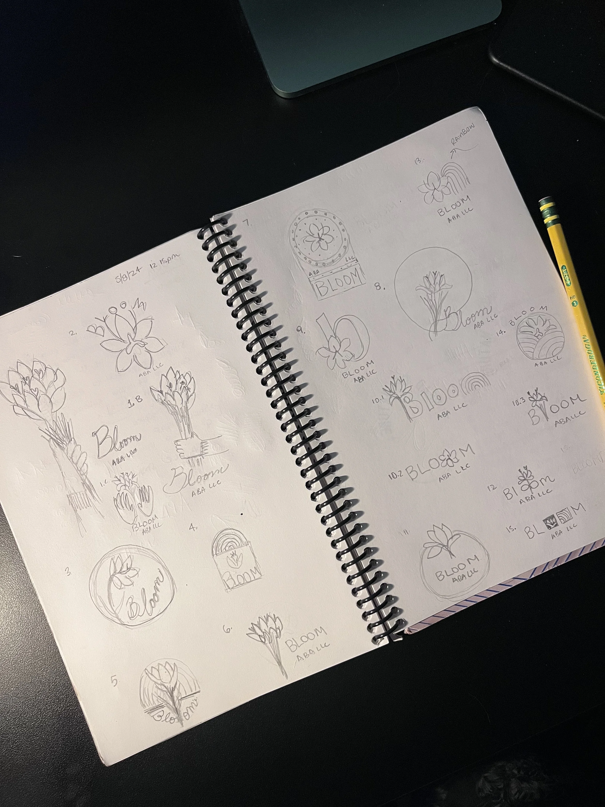 sketches by hand and pencil for bloom aba llc