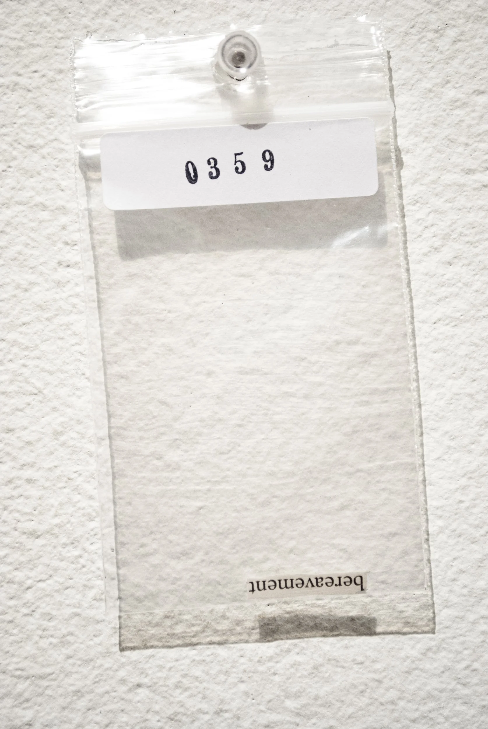 B_0359.jpg